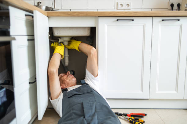 Best Residential Plumbing Services  in Austin, AR